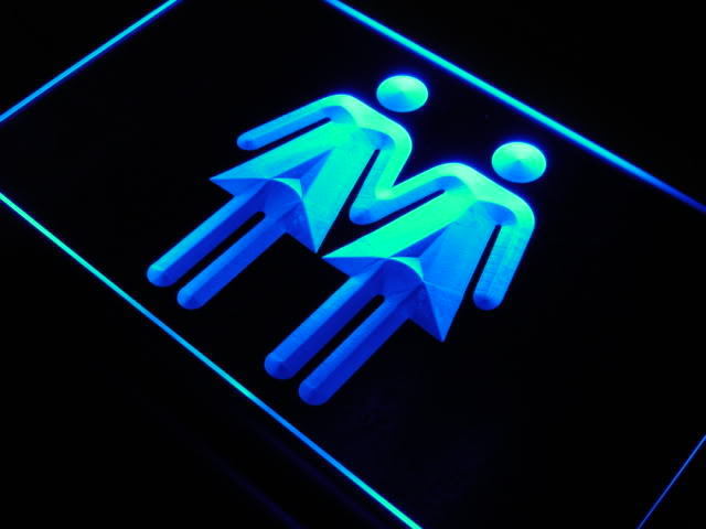 Female Toilet Lesbian Ladies Neon Light Sign